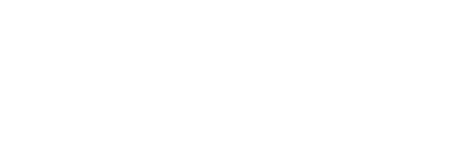 NIC Logo